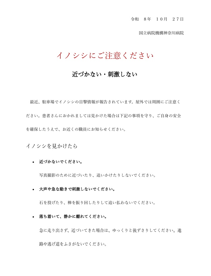 いのしし